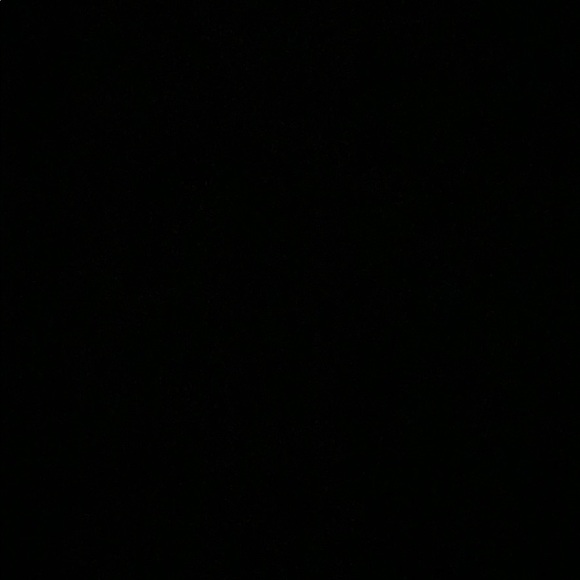 alondra_capaz